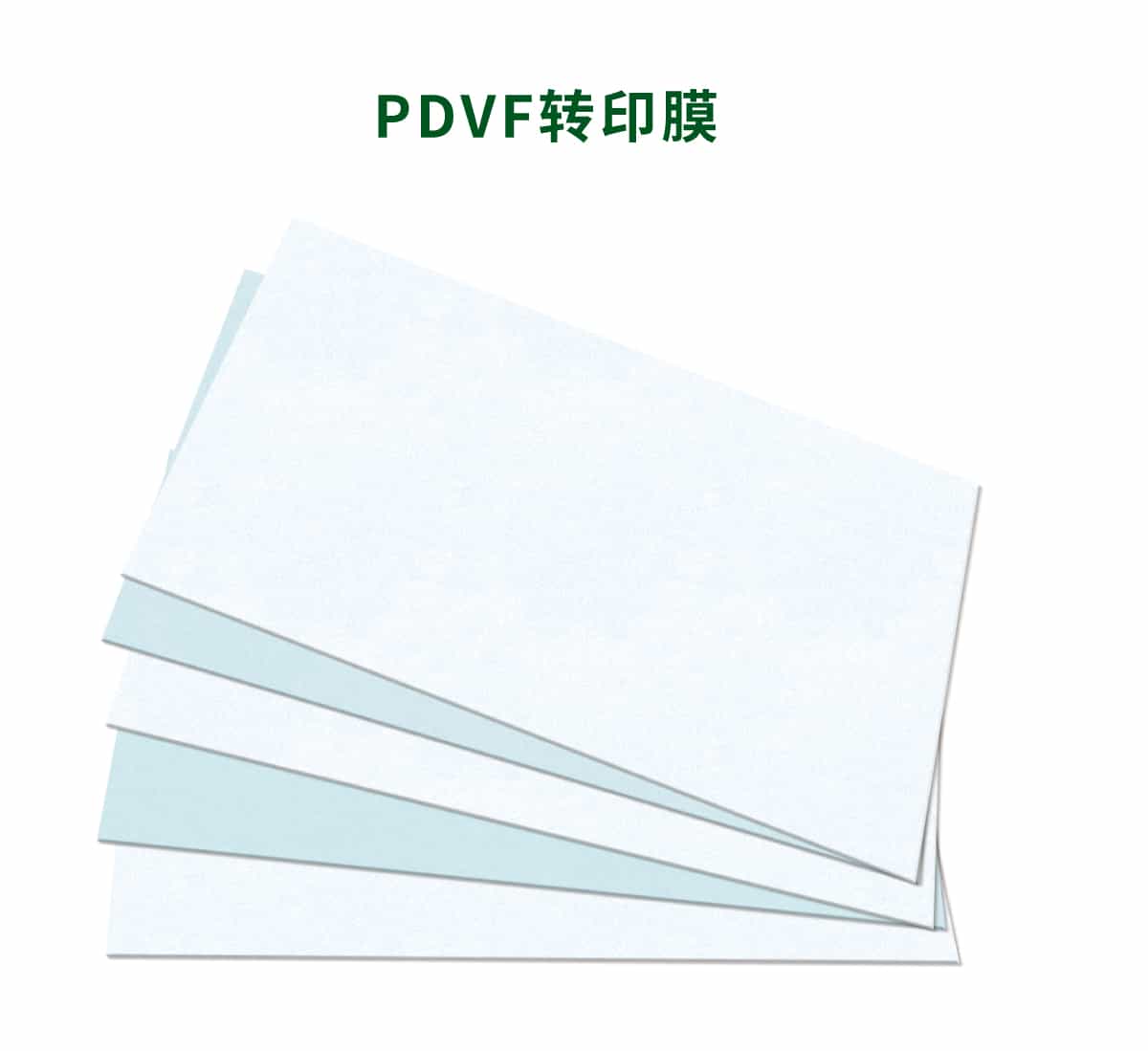 PDVF转印膜