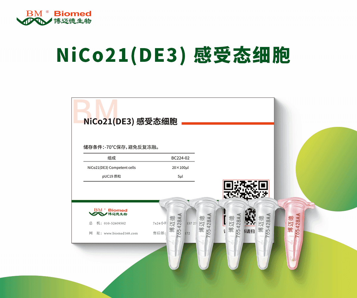 NiCo21(DE3) 感受态细胞