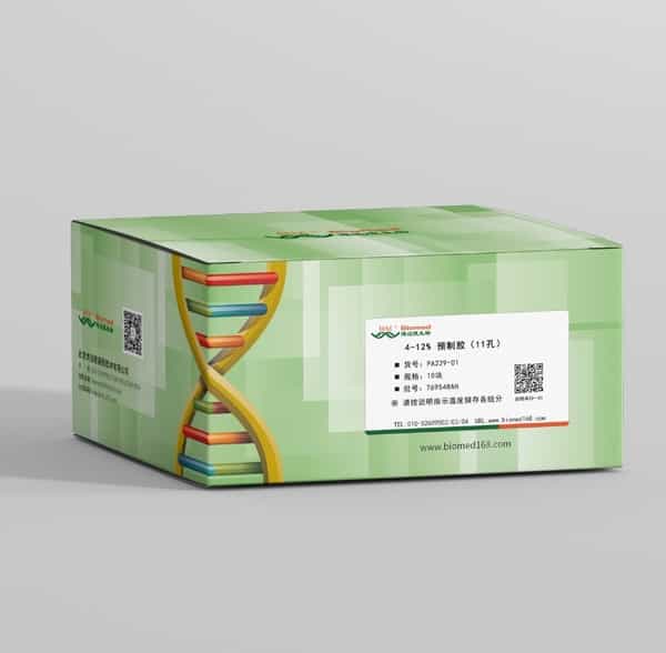 4-12% 预制胶（11孔）