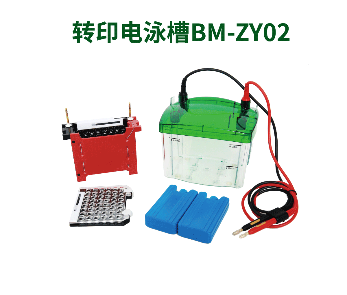 转印电泳槽BM-ZY02