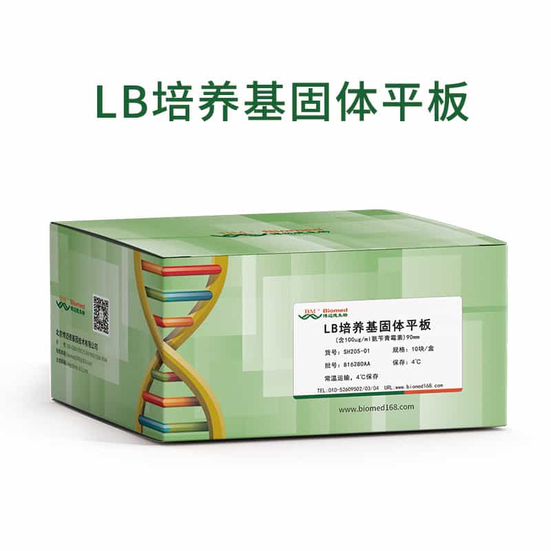 LB培养基固体平板(含100ug/ml氨苄青霉素)