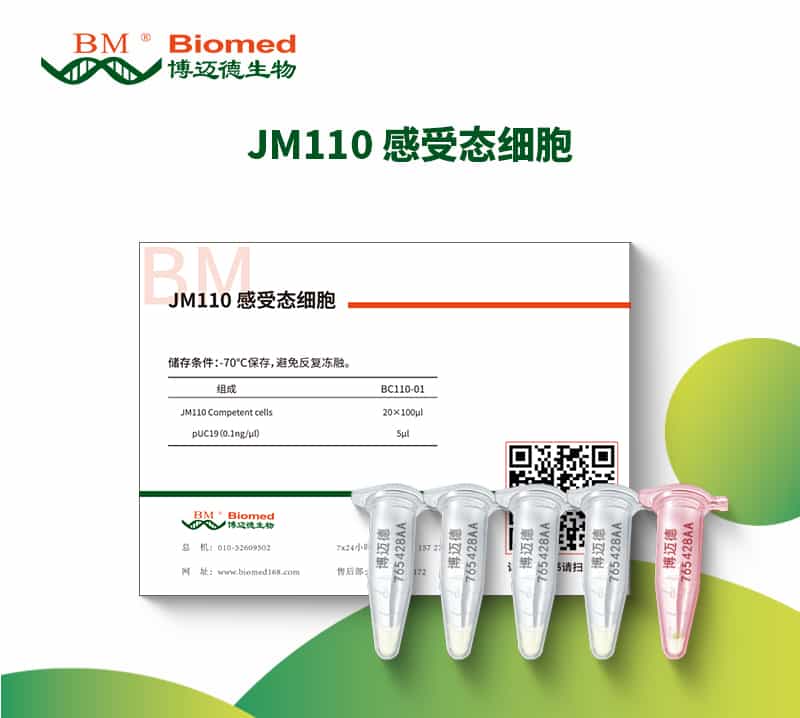 JM110 感受态细胞