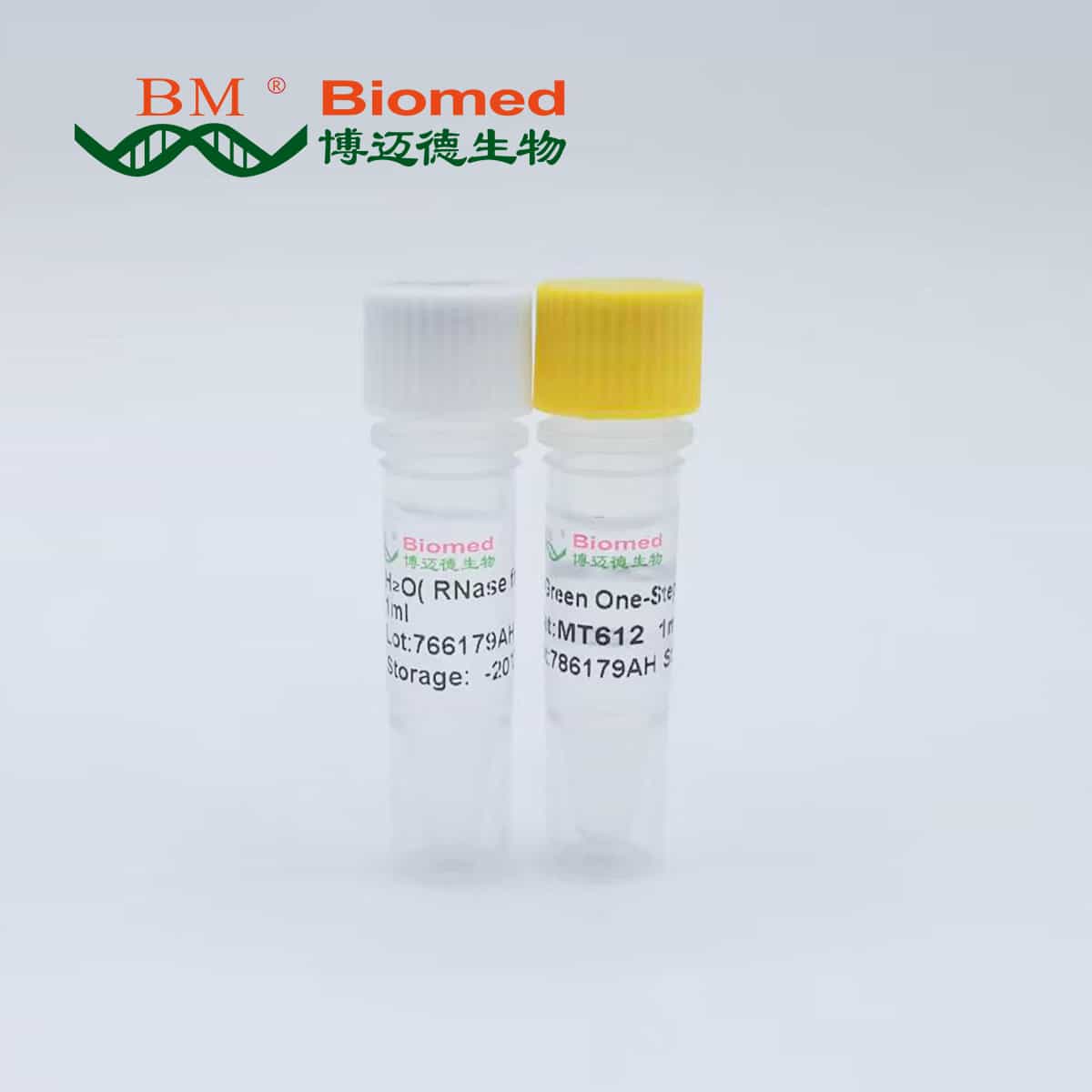 M-MLV4 Green One-Step qRT-PCR Kit