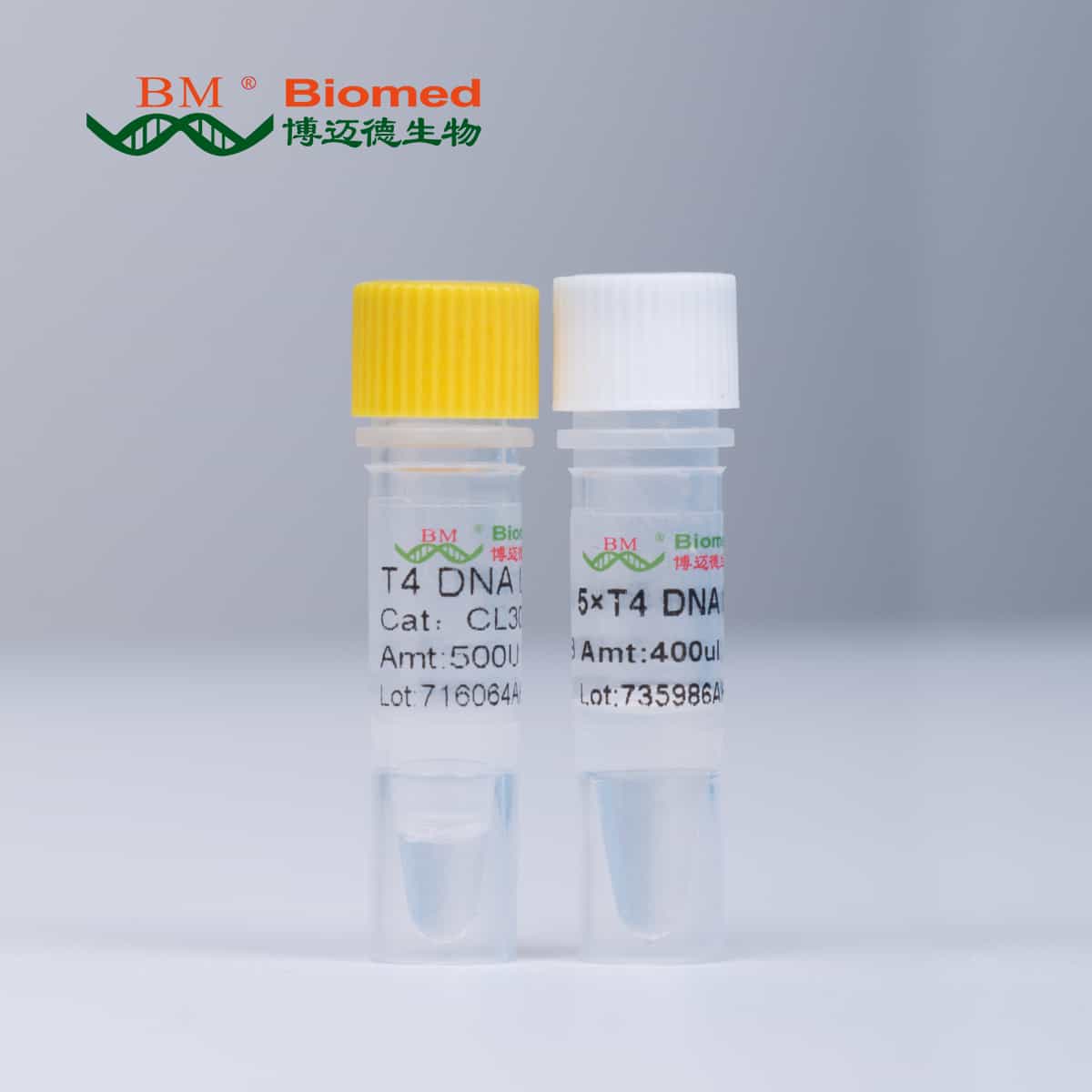 Blunt/TA Ligase Master Mix（2x）