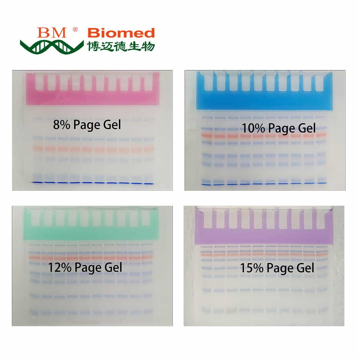 绿色PAGE浓缩胶染料