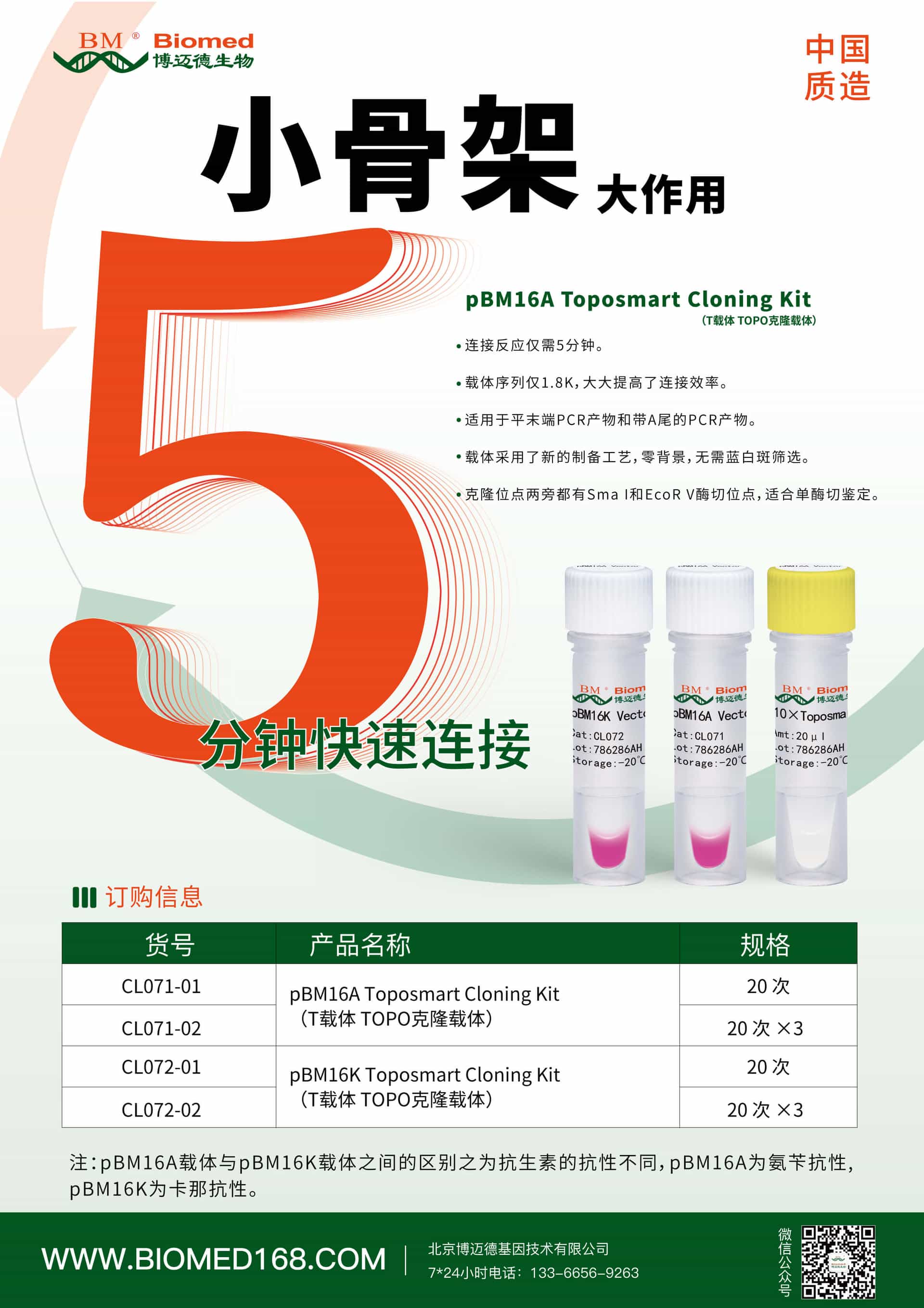 小骨架大作用-克隆必备载体