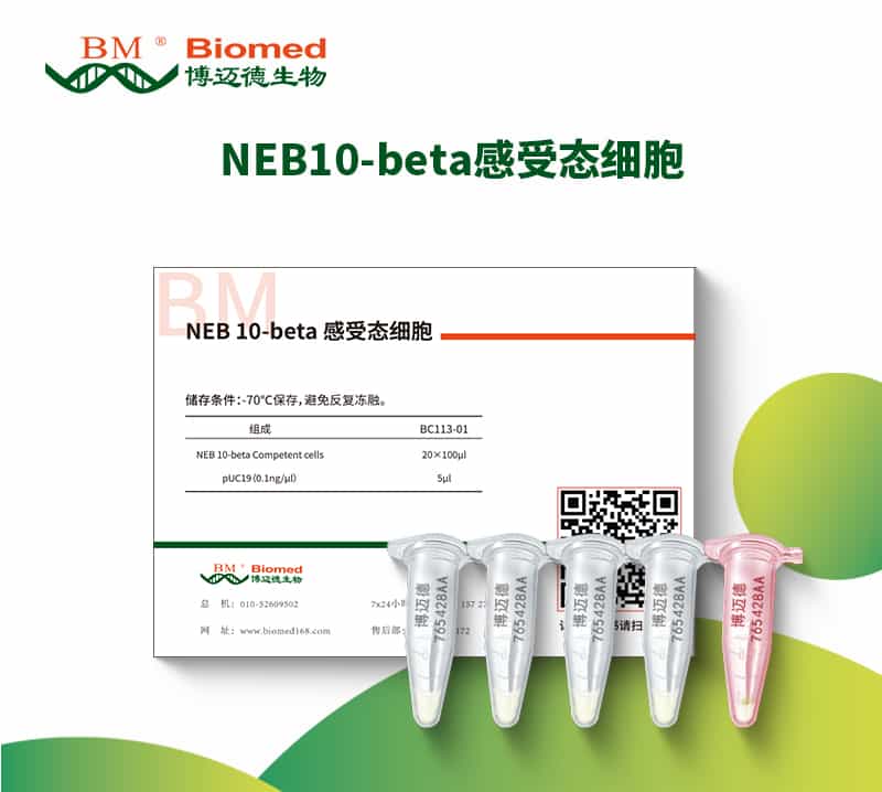 NEB10-beta感受态细胞
