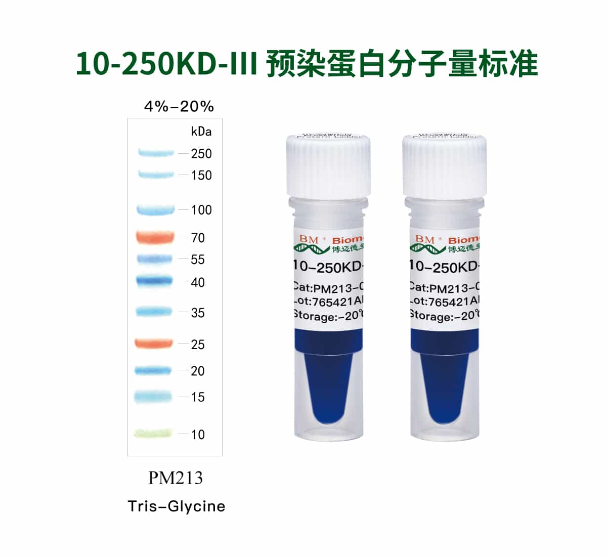 10-250KD-Ⅲ 预染蛋白分子量标准