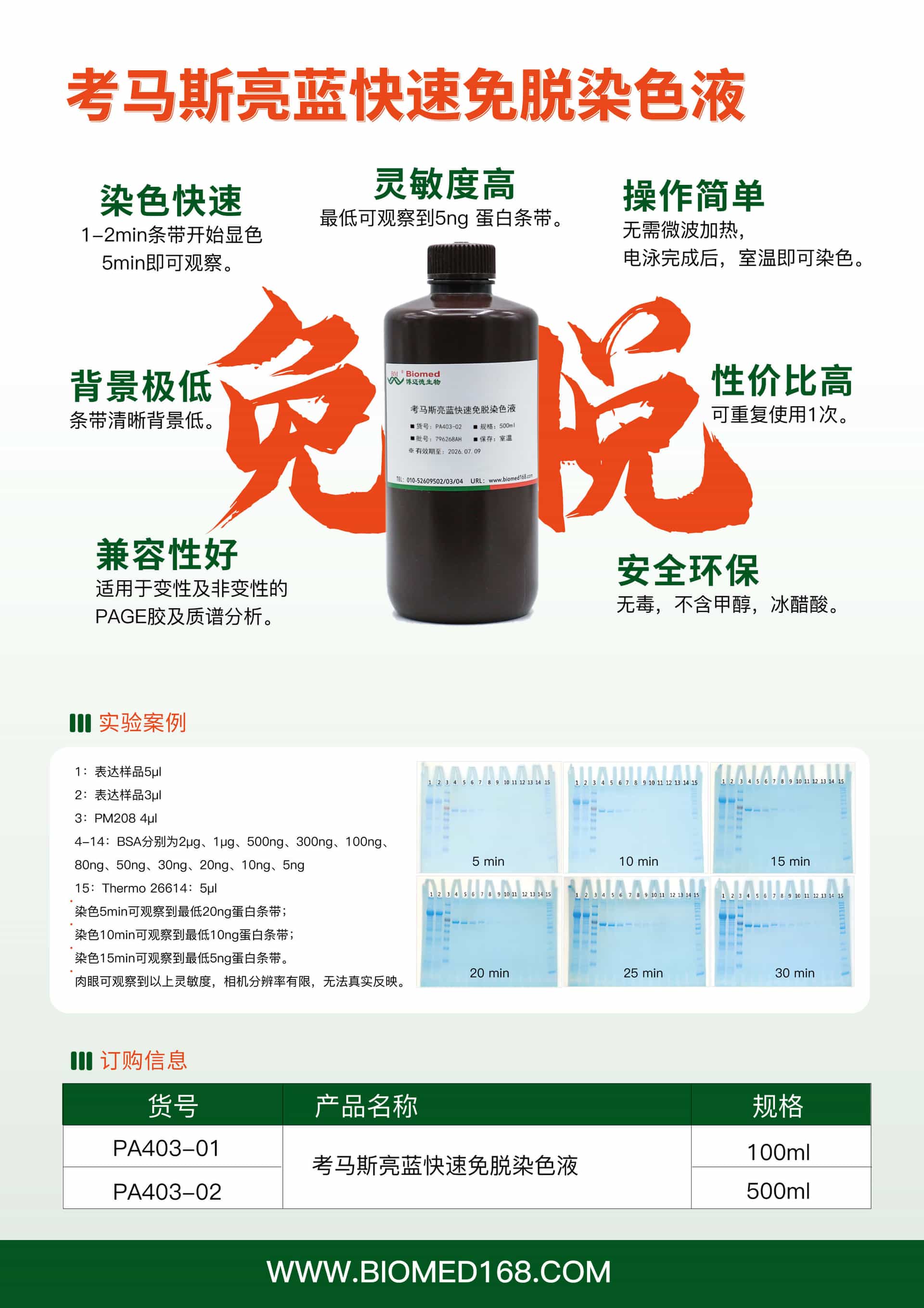 【新品】考马斯亮蓝快速免脱染色液