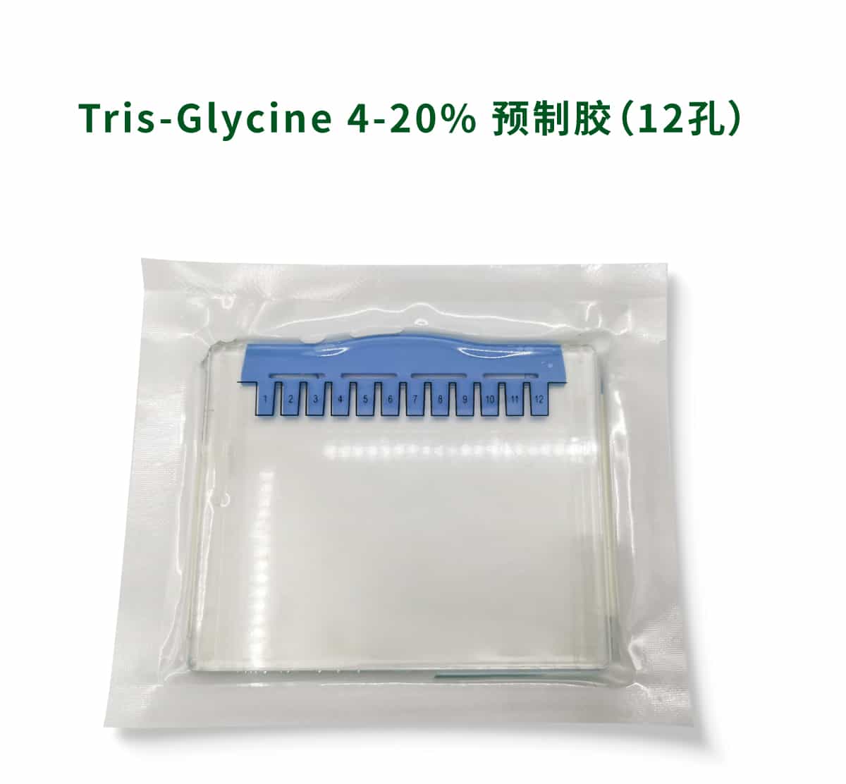 Tris-Glycine 4-20% 预制胶（12孔）