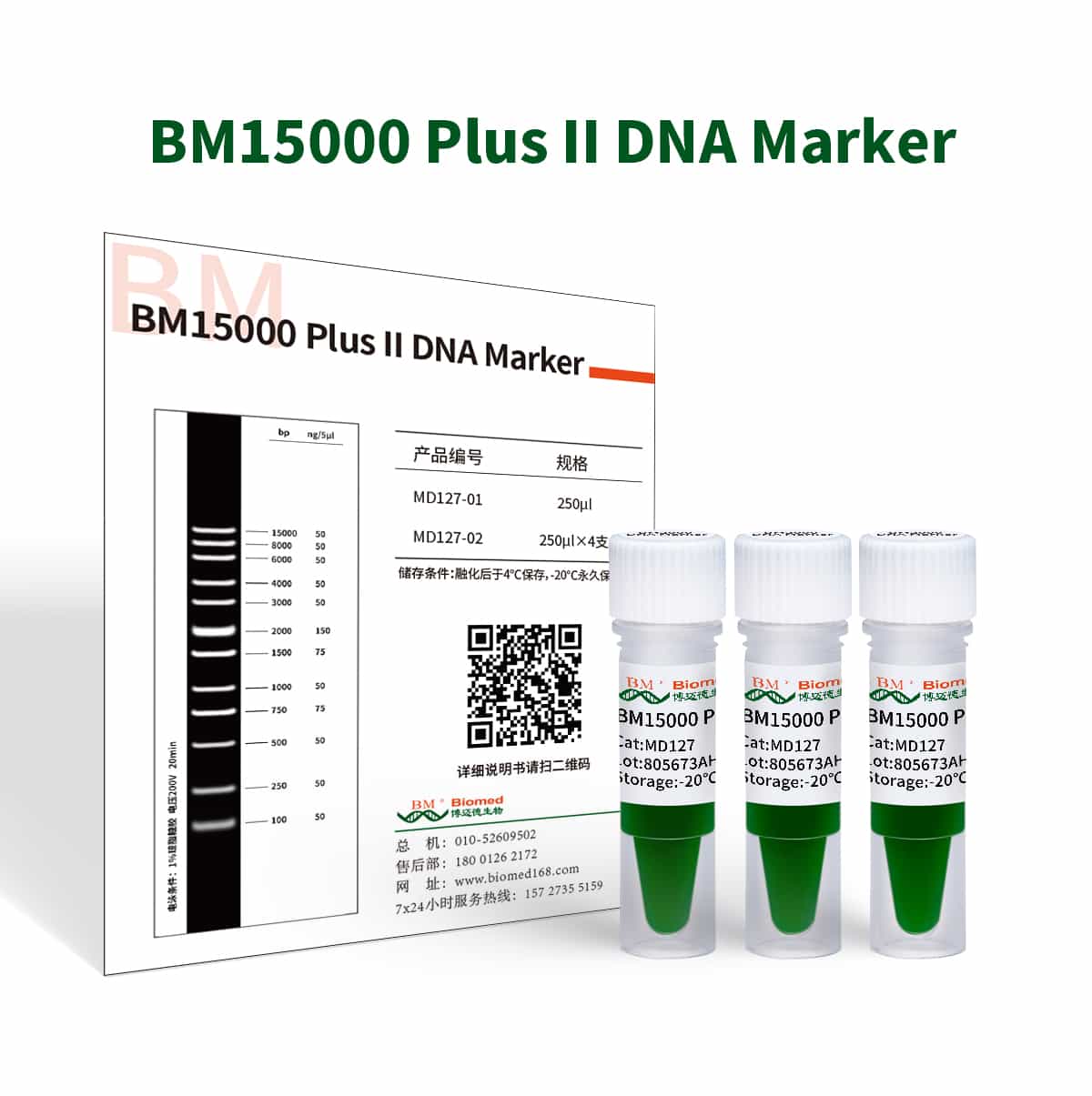BM15000 Plus II DNA Marker