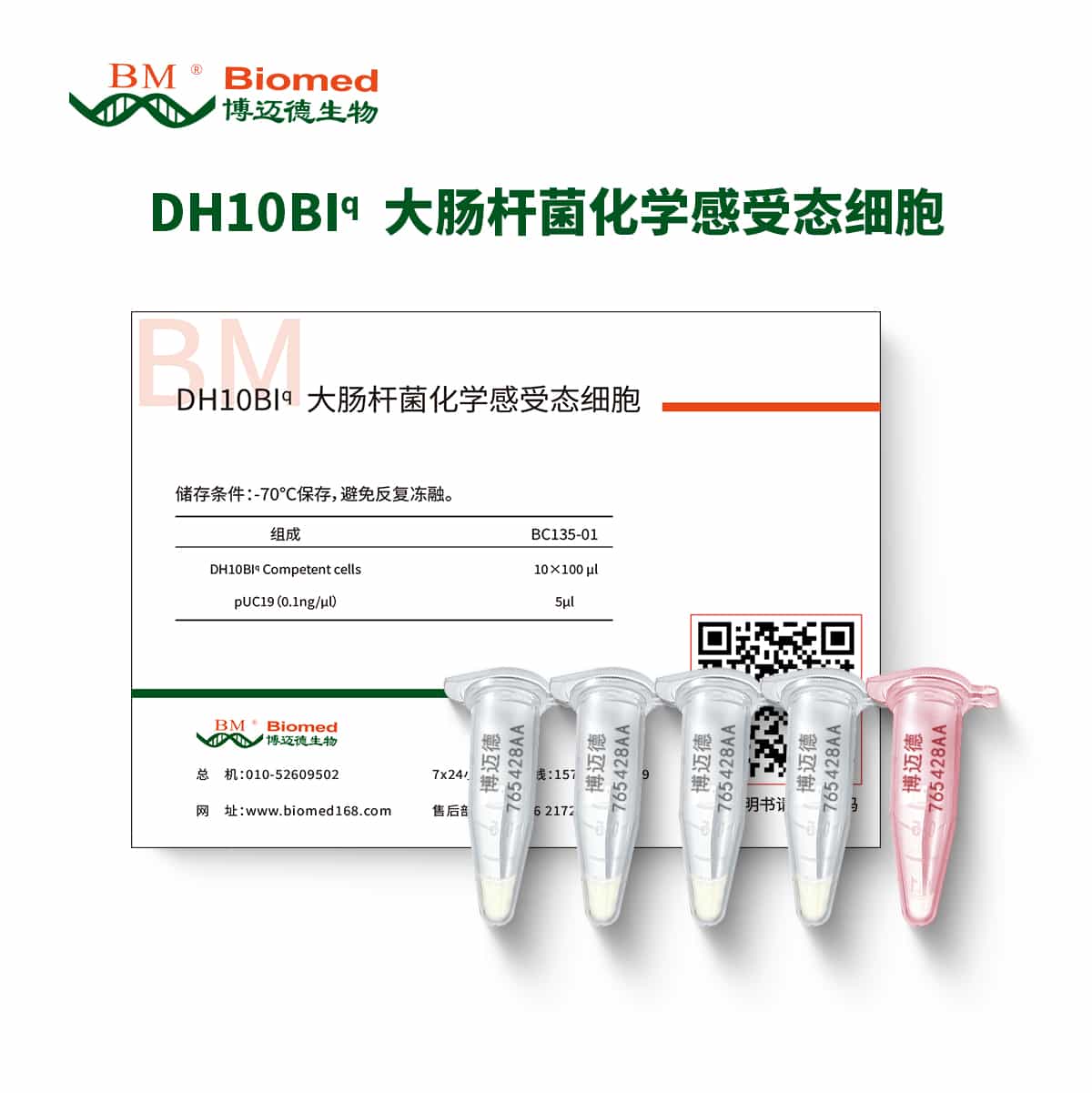 DH10BIq  大肠杆菌化学感受态细胞