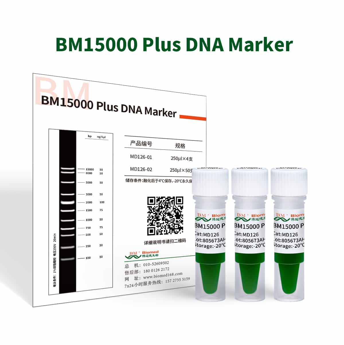BM15000 Plus DNA Marker
