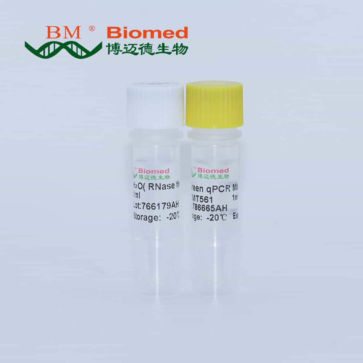 Green qPCR MasterMix（通用型）