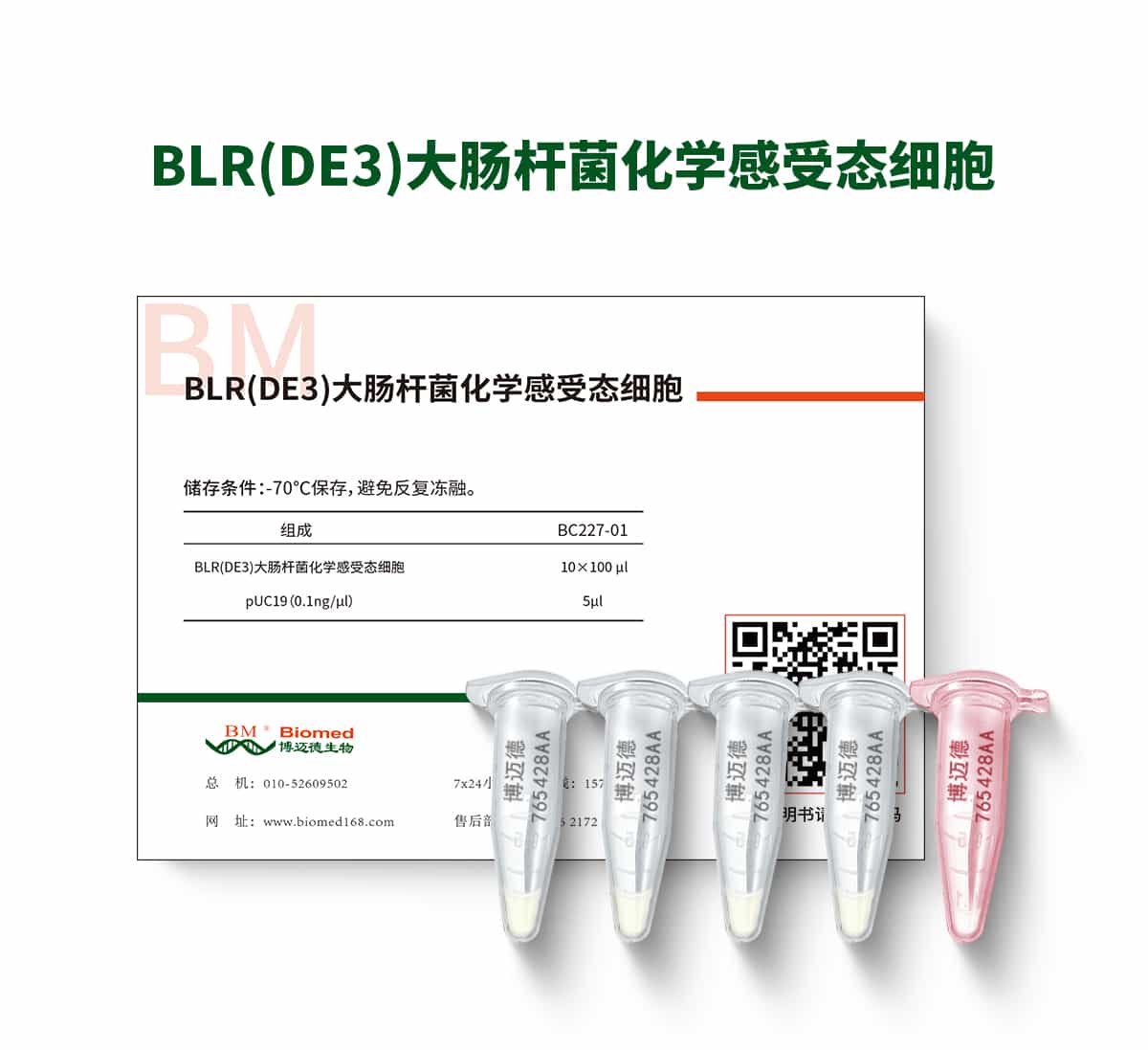 BLR(DE3)大肠杆菌化学感受态细胞