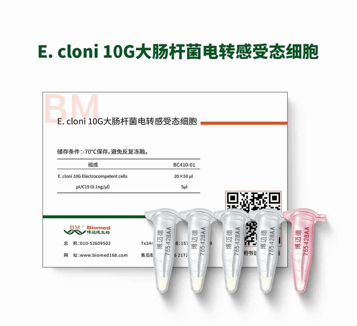 E. cloni 10G大肠杆菌电转感受态细胞
