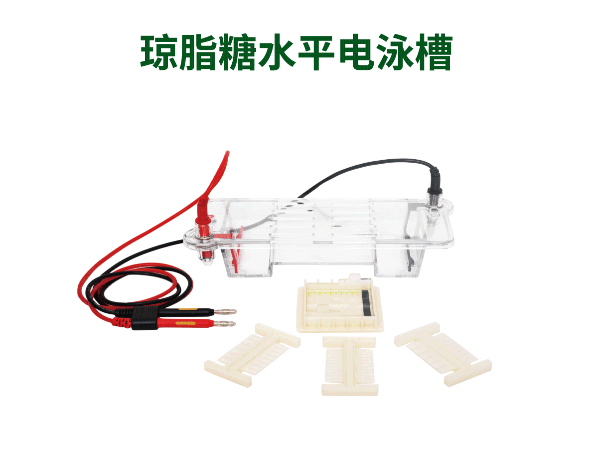 琼脂糖水平电泳槽