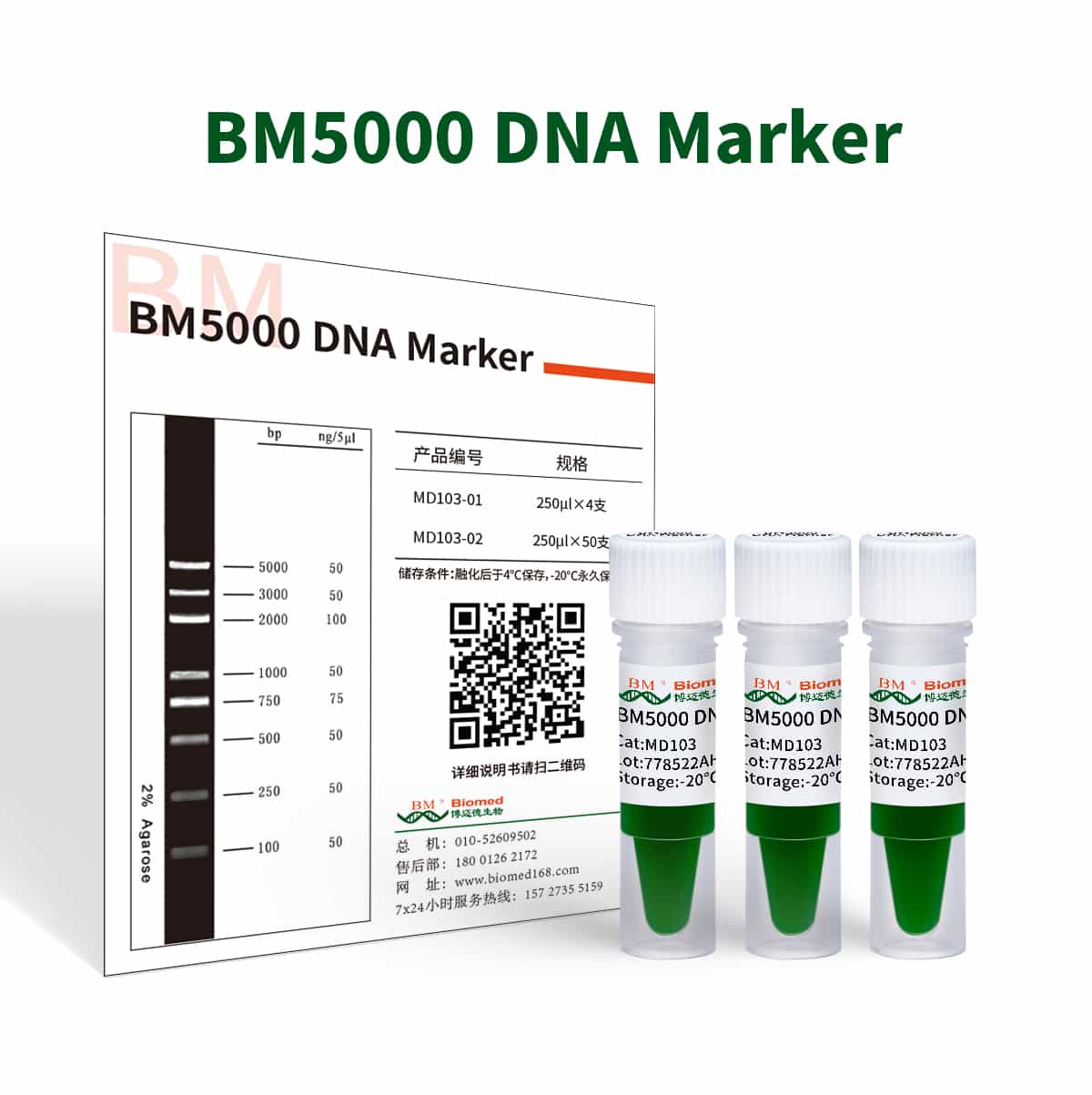 BM5000 DNA Marker