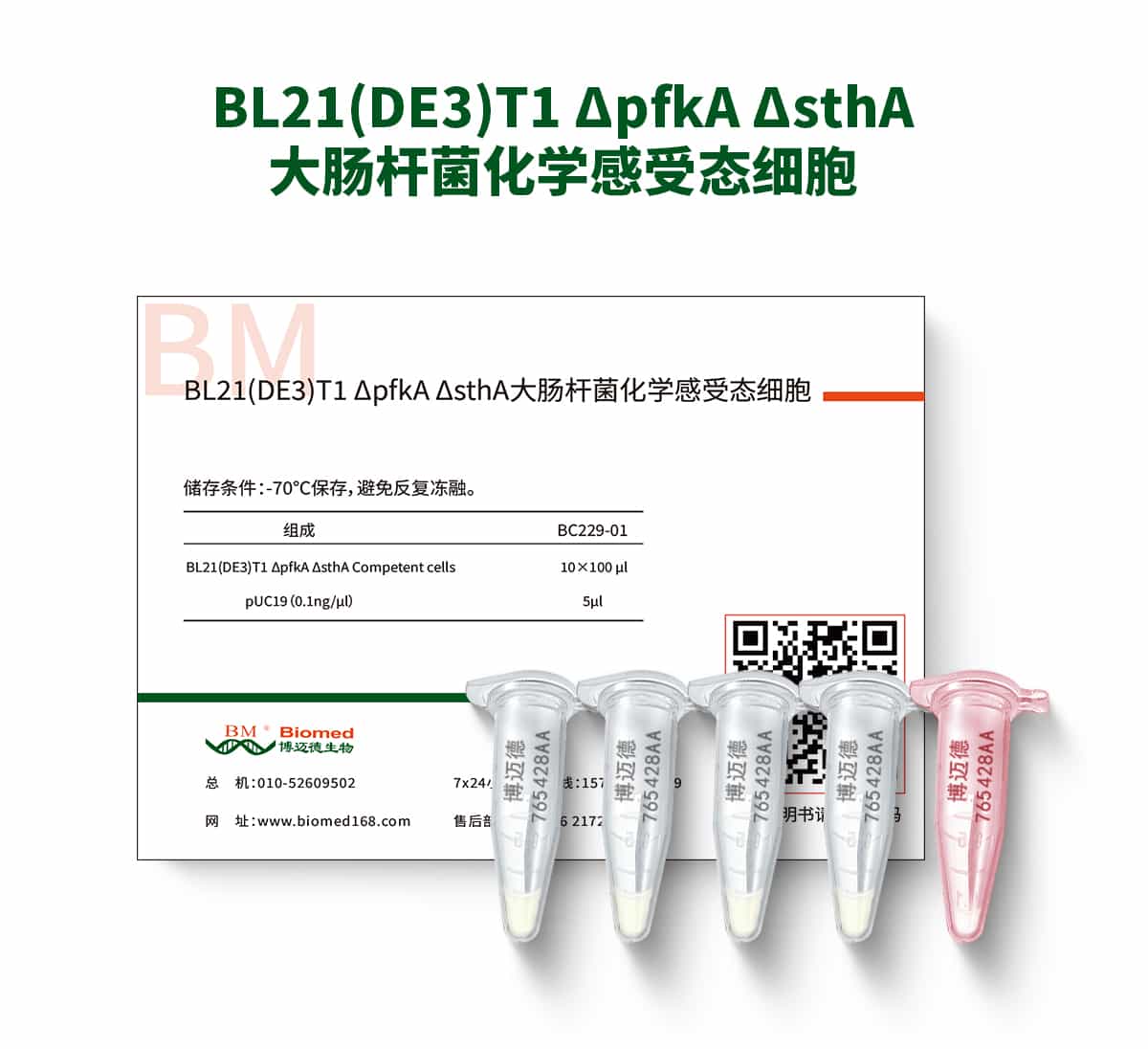 BL21(DE3)T1 ΔpfkA ΔsthA大肠杆菌化学感受态细胞