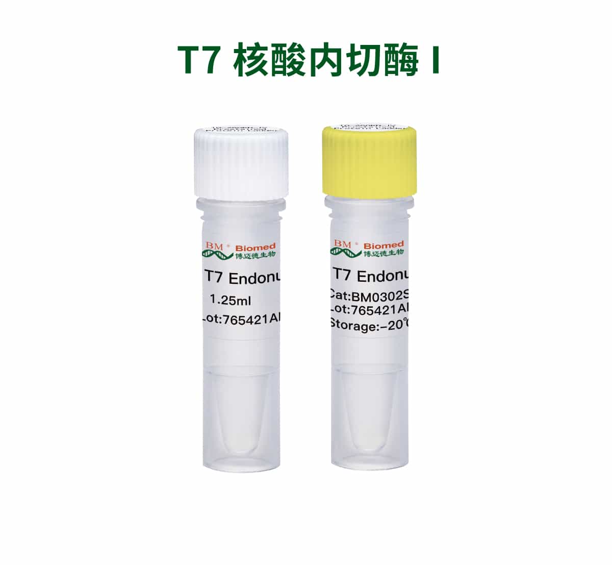 T7 核酸内切酶 I