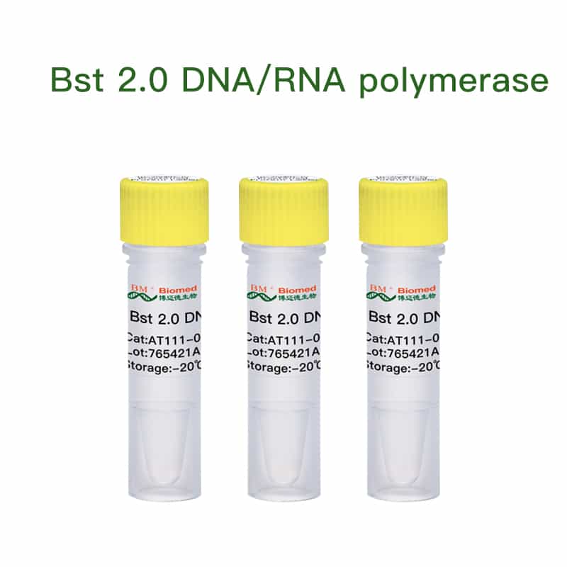 Bst 2.0 DNA/RNA polymerase