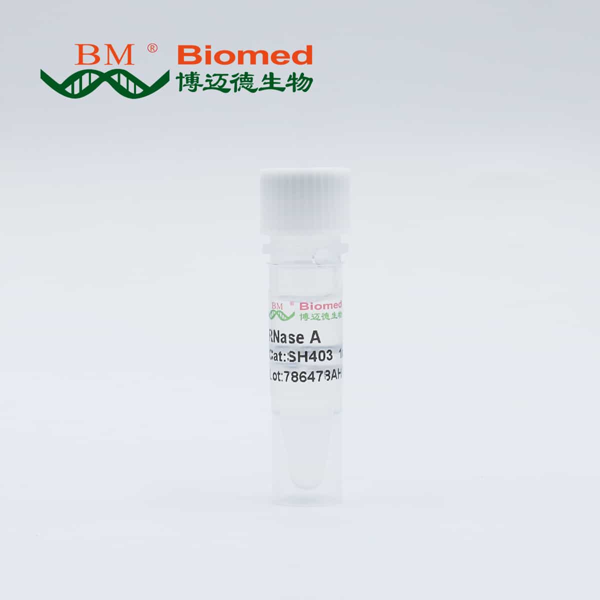 RNase A(10mg/ml)