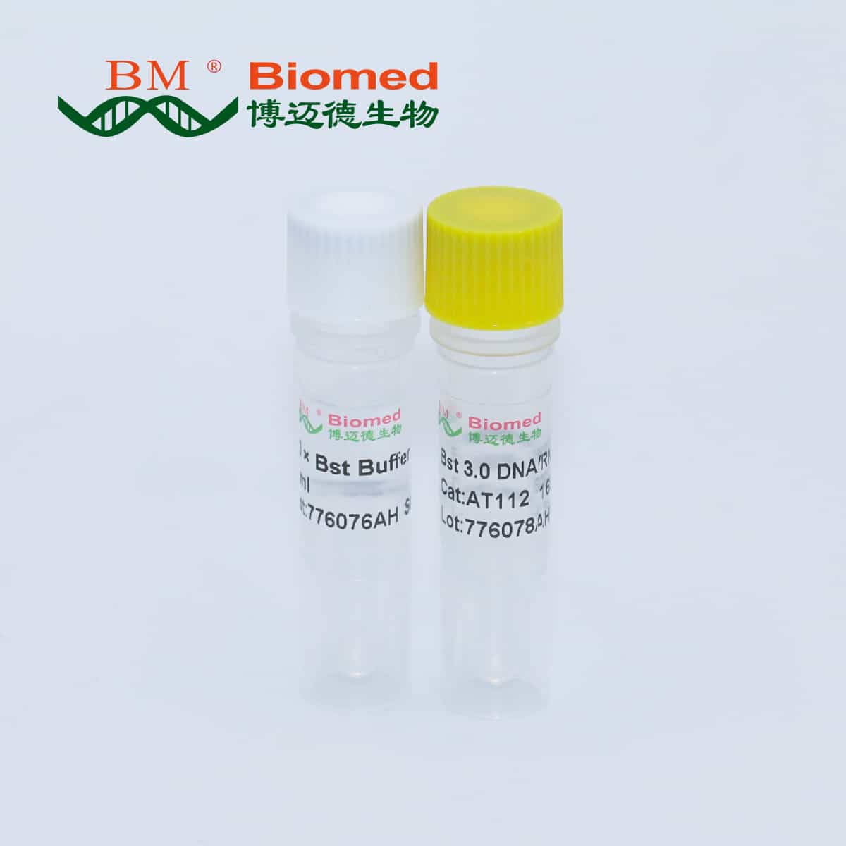 Bst 3.0 DNA/RNA polymerase