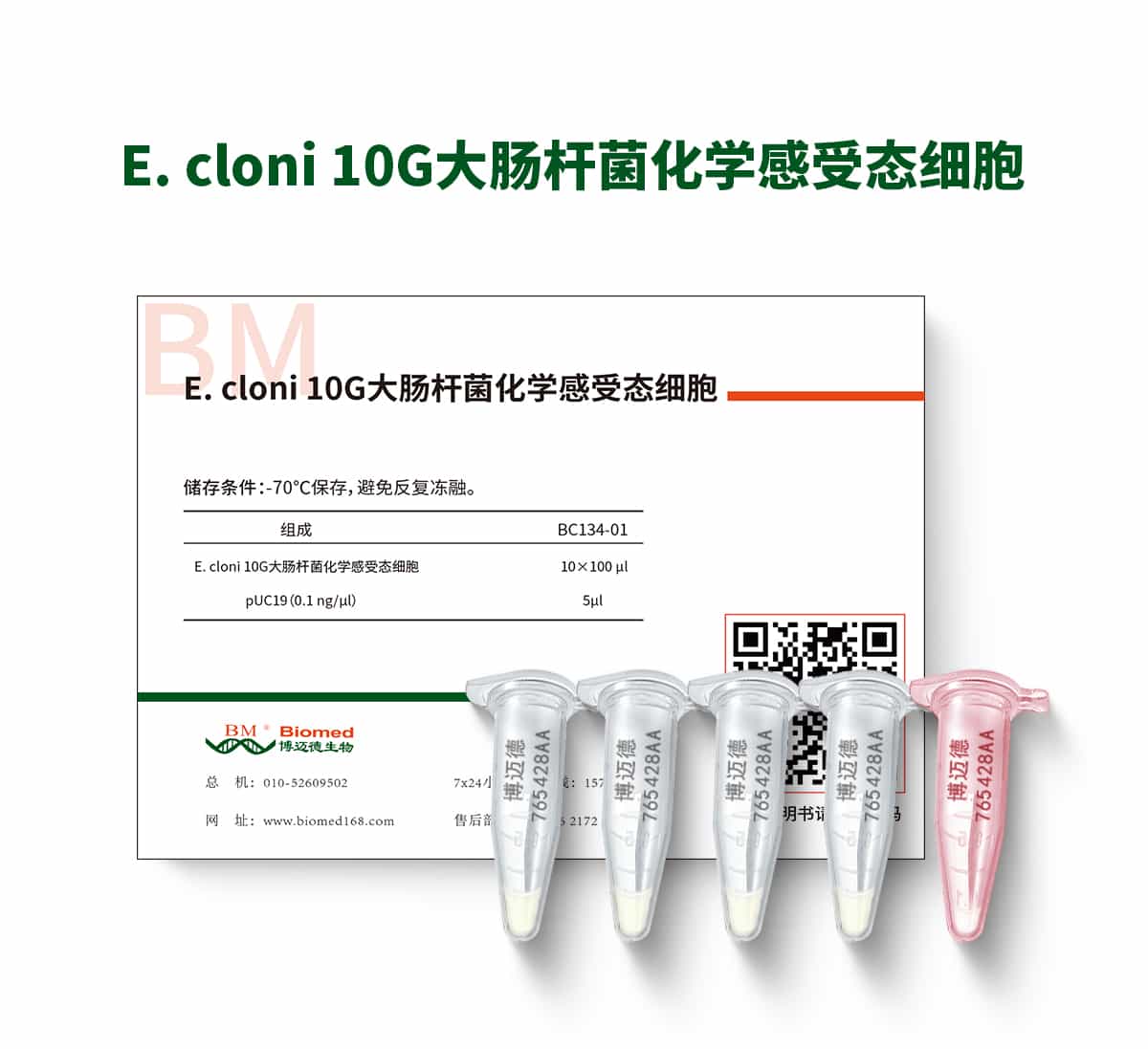 E. cloni 10G大肠杆菌化学感受态细胞