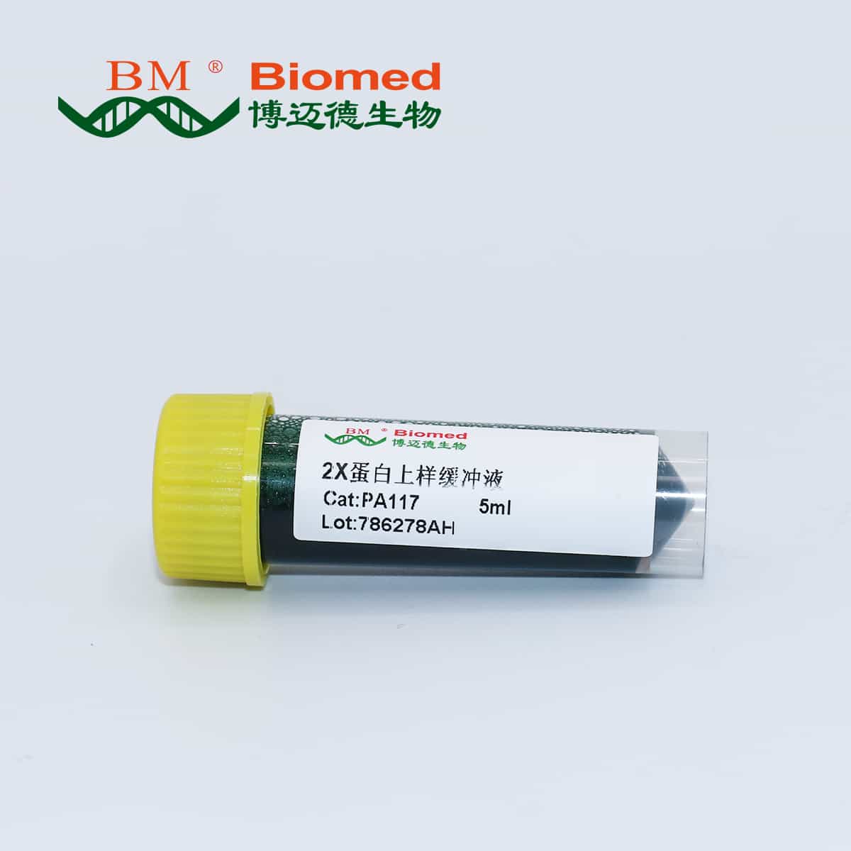 2×蛋白上样缓冲液