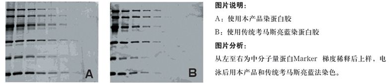 20140822033322_83276 (1).jpg