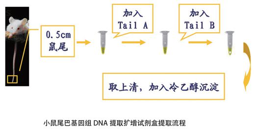 20140827092032_56741.jpg