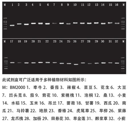 20140827091248_83539.jpg