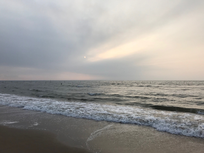 QQ图片20180808161007.jpg