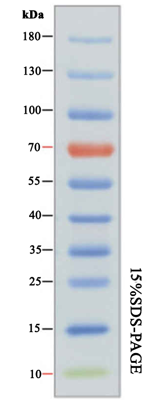 123.jpg