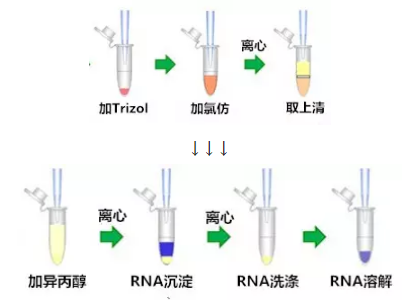 QQ截图20190115155520.png