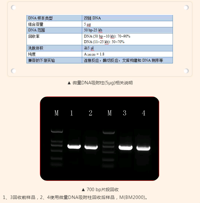 QQ截图20190510162514.png