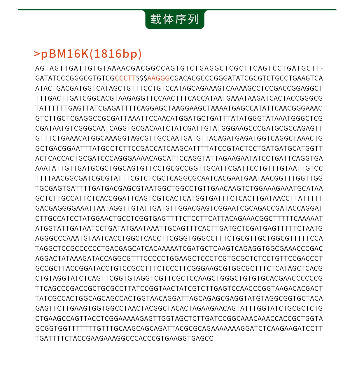 1733294674735450.jpg