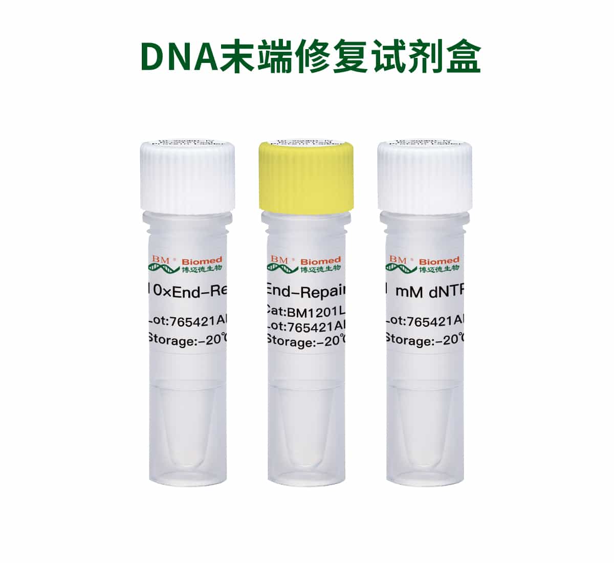 DNA末端修复试剂盒