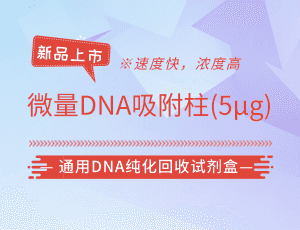 博迈德新品上市---微量DNA吸附柱(5μg)/通用DNA纯化回收试剂盒