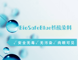 BioSafeBlue核酸染料，肉眼可见的新型无毒染料