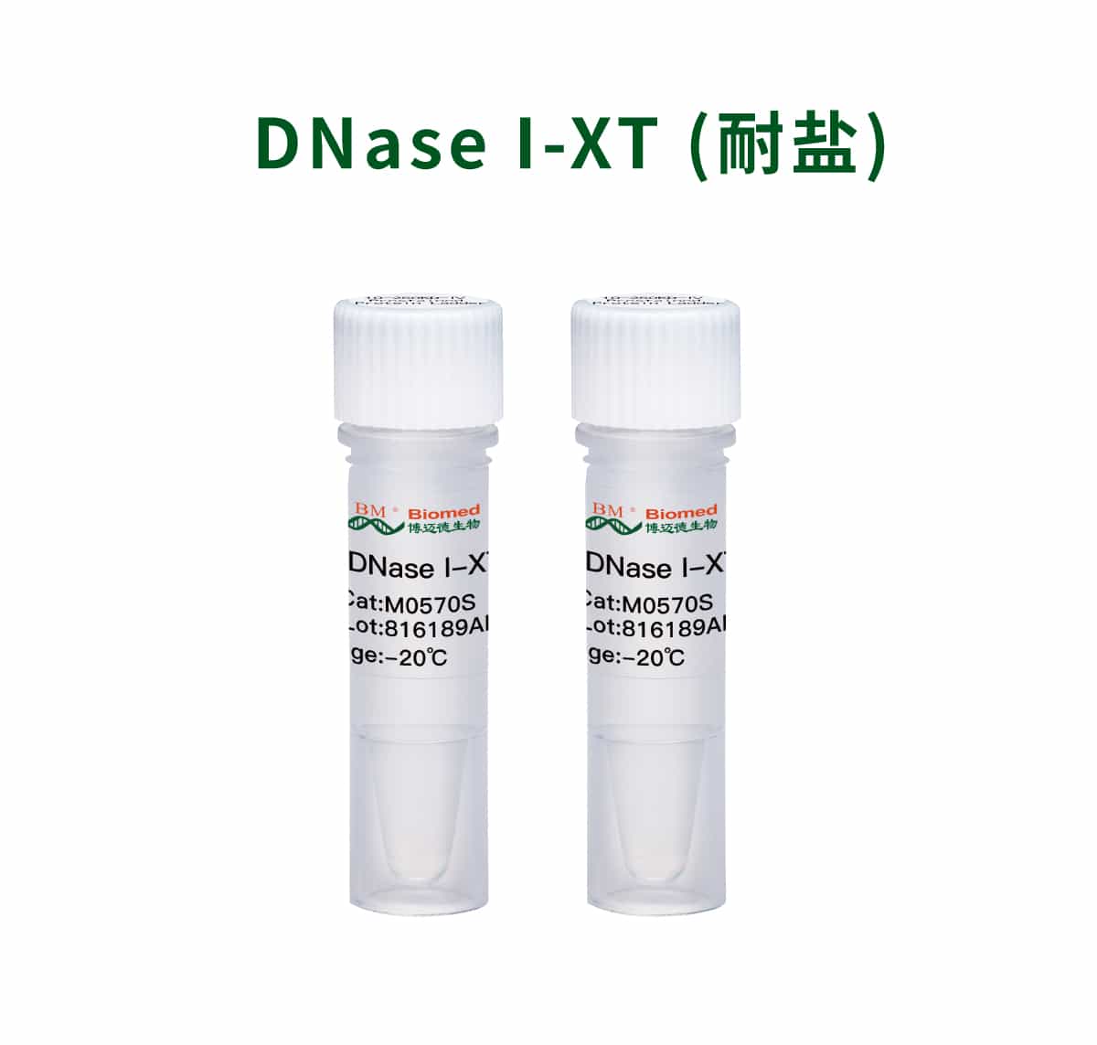 DNase I-XT (耐盐)