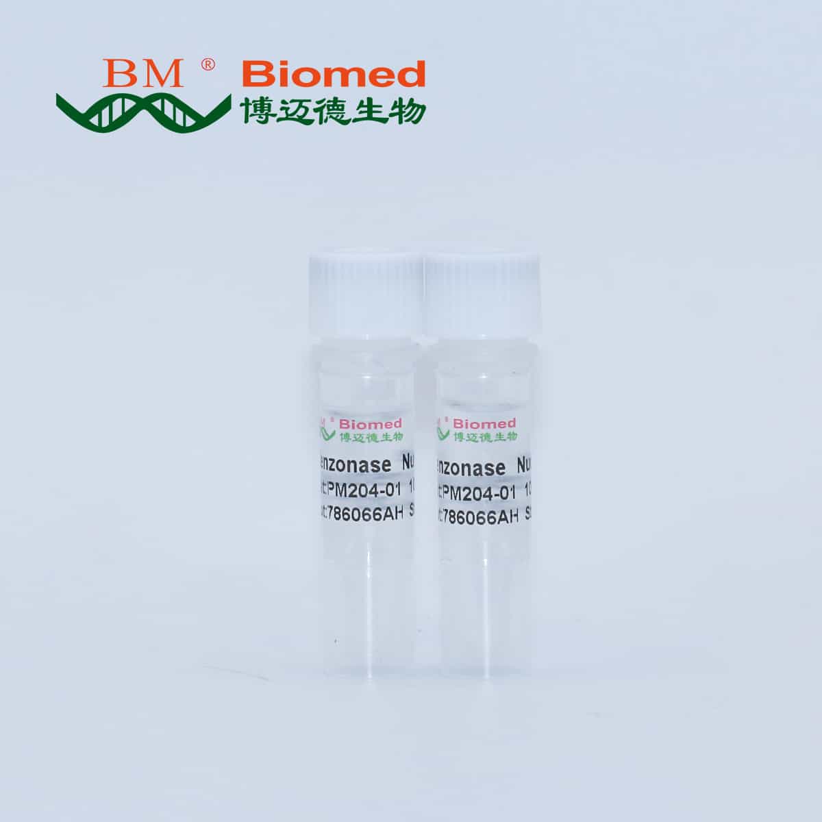 Benzonase Nuclease 全能核酸酶