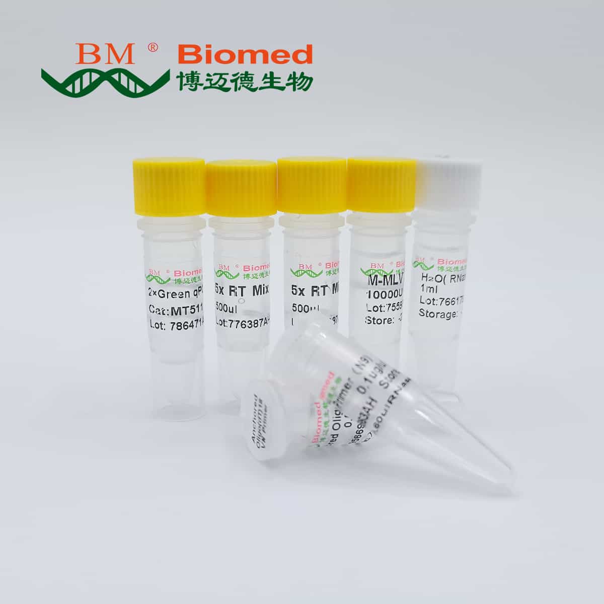 M-MLV4 Green Two-Step qRT-PCR Kit