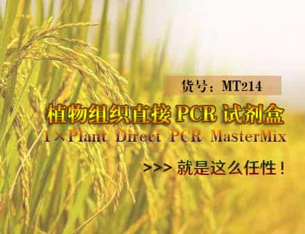 天下实验，唯快不破！植物组织直接PCR试剂盒