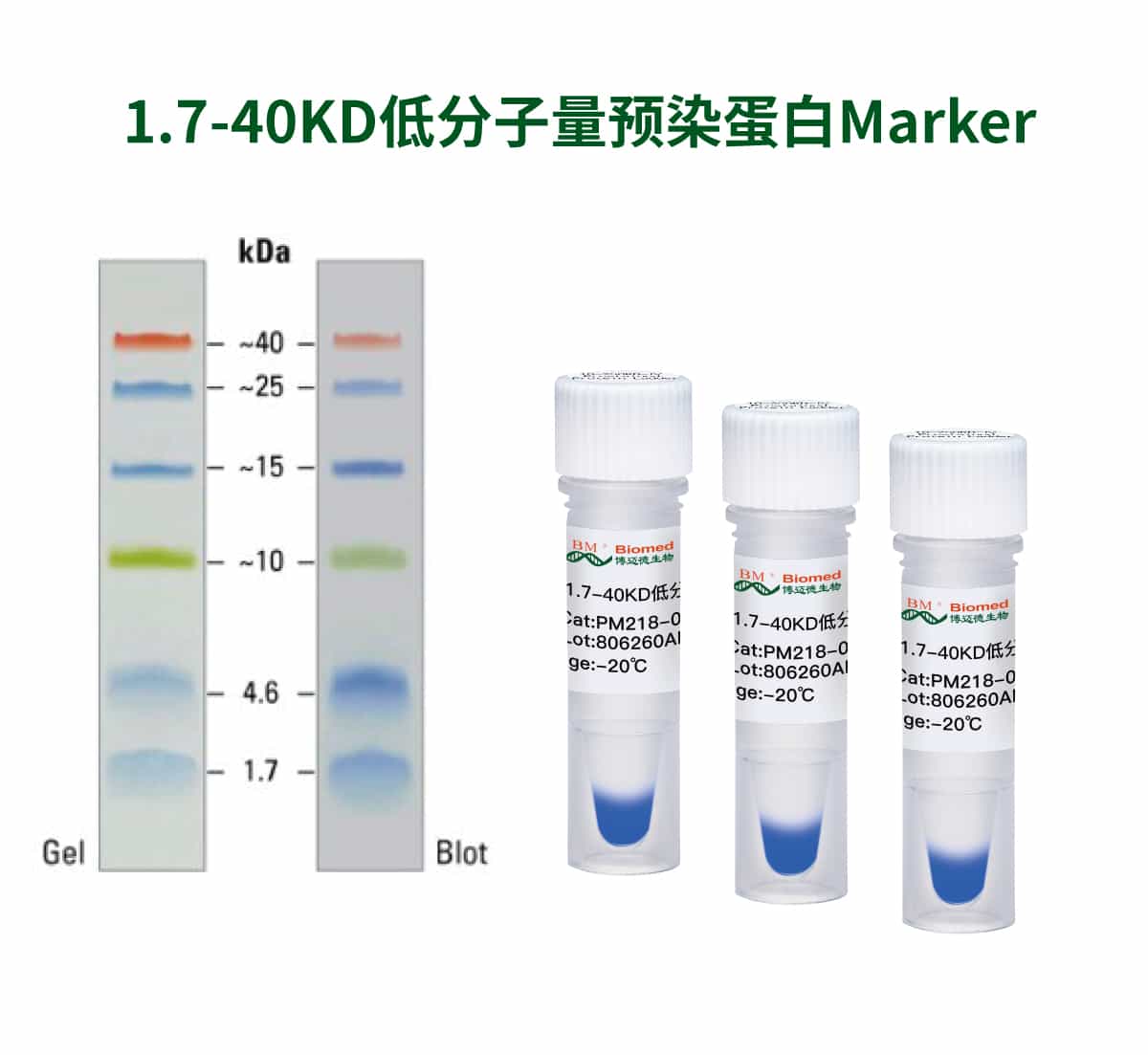1.7-40KD低分子量预染蛋白Marker