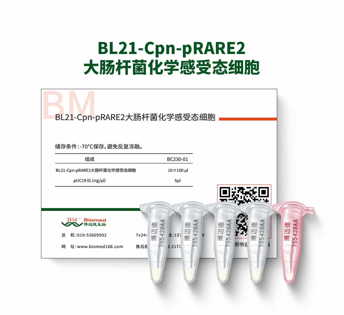BL21-Cpn-pRARE2大肠杆菌化学感受态细胞