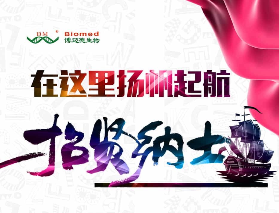 博迈德生物招聘了! Iwant you！