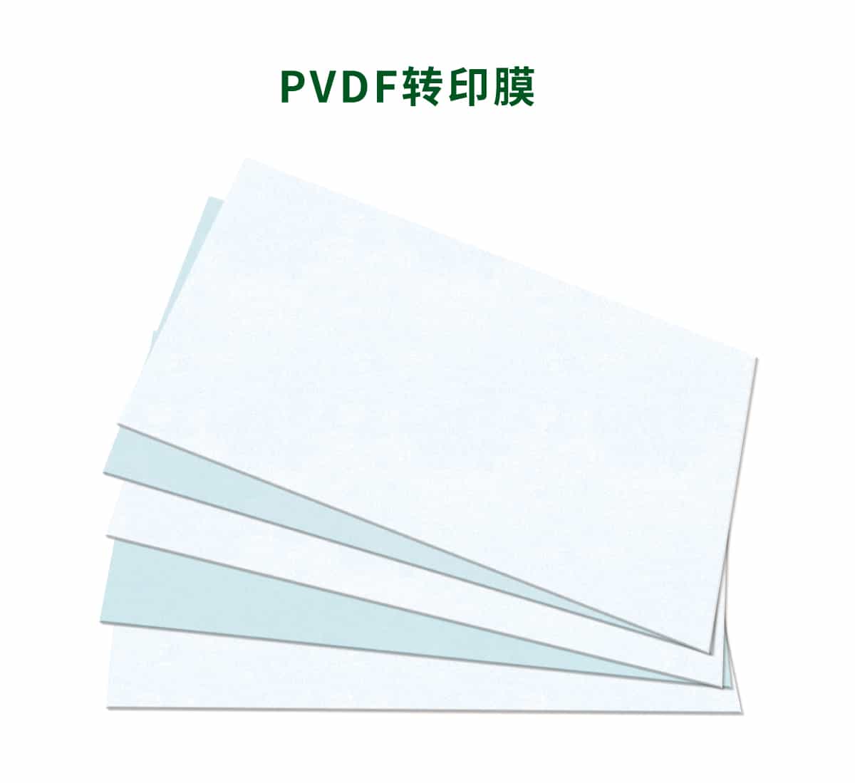PVDF转印膜