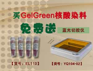 买核酸染料免费送蓝光切胶仪！
