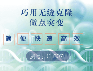EasyMut基因多点突变试剂盒